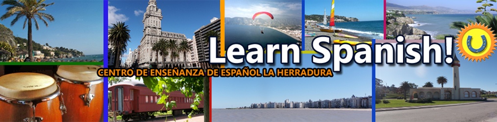 Spanish Teaching Center La Herradura